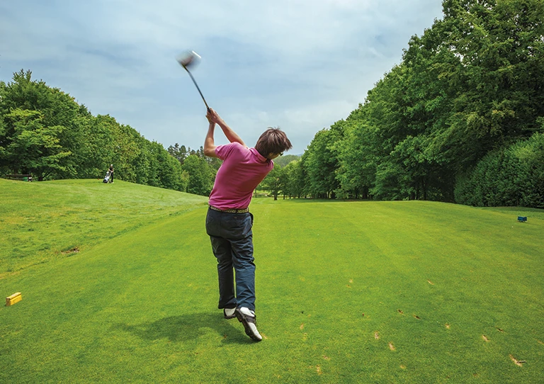 Imagen del campo de Golf de Hondarribia
